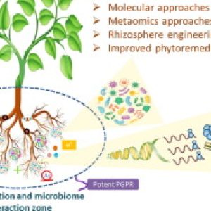 Group logo of Plant breeding for beneficial plant-microbe interactions